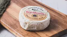 Les Saint-Marcellins