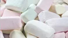 La guimauve de Montpellier