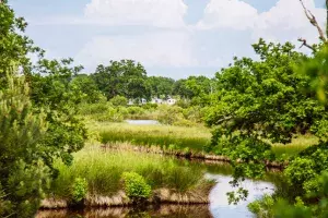La Réserve Naturelle Nationale des Prés Salés