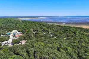 La forêt de la Coubre